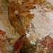 Particolare di un affresco nel complesso cenobitico di Sant'Angelo a Santeramo in Colle